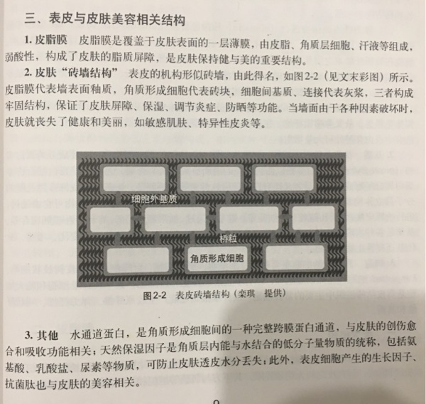 应该如何为自己挑选合适的补水面膜 期权论坛