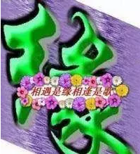 为什么中老年人喜欢用这样的qq微信表情包