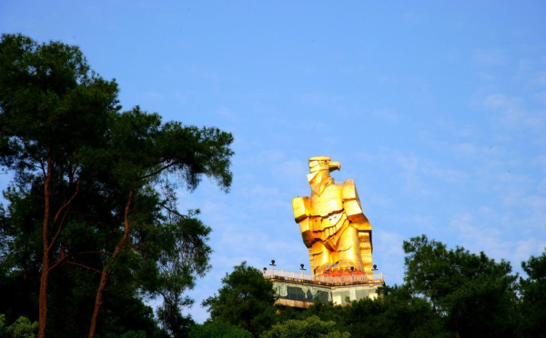 [h1]      南山大金鹰[/h1]