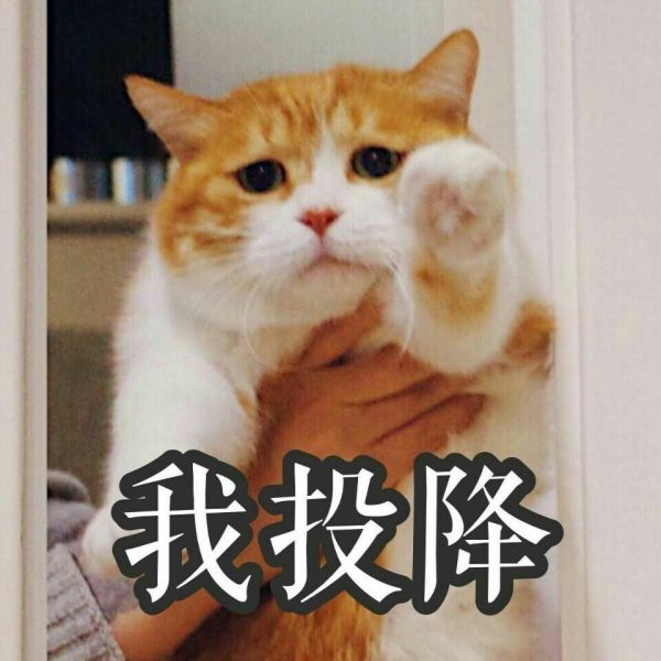 说说你最佩服的三个韩国组合?