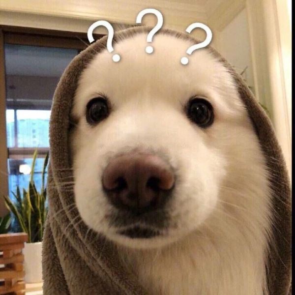 如何评价微信经常使用猫狗表情包的人