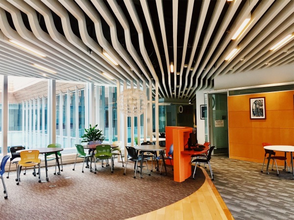 在香港大学theuniversityofhongkong就读是怎样一番体验