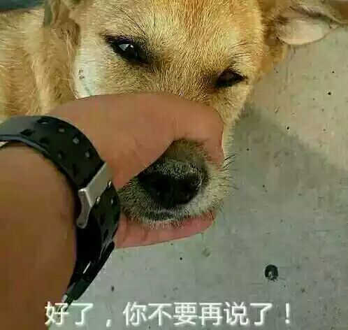 我知道我马赛克打得丑,,,就你话多.