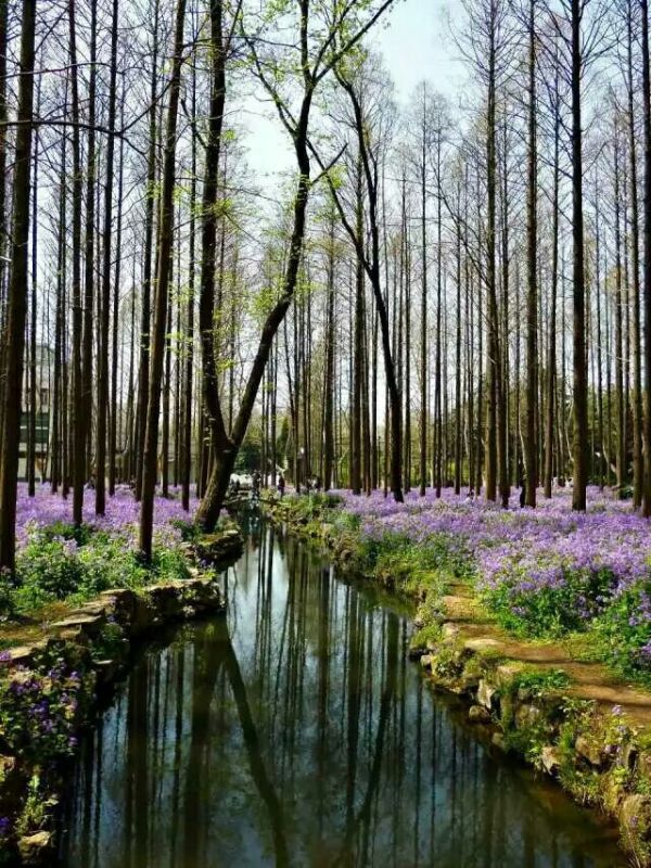 南京理工大学到底怎么样