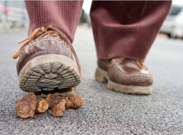 踩上狗屎了,用wd-40.