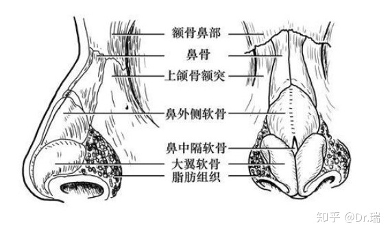 再來說說經常捏鼻子可能潛在的風險